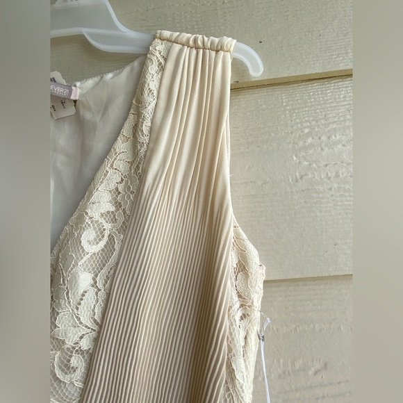 Forever 21 Beautiful Sleeveless V-Neck Lace Pleated Dress - Picture 5 of 6